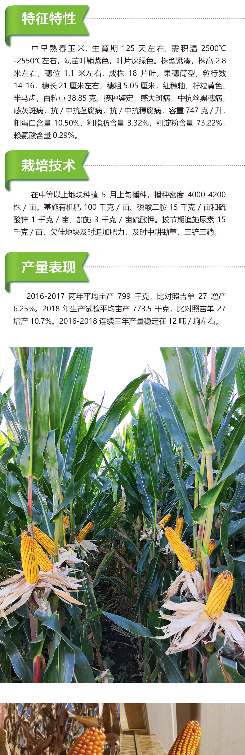 1590111969573696.jpg 龙科玉301产品详情_02.jpg