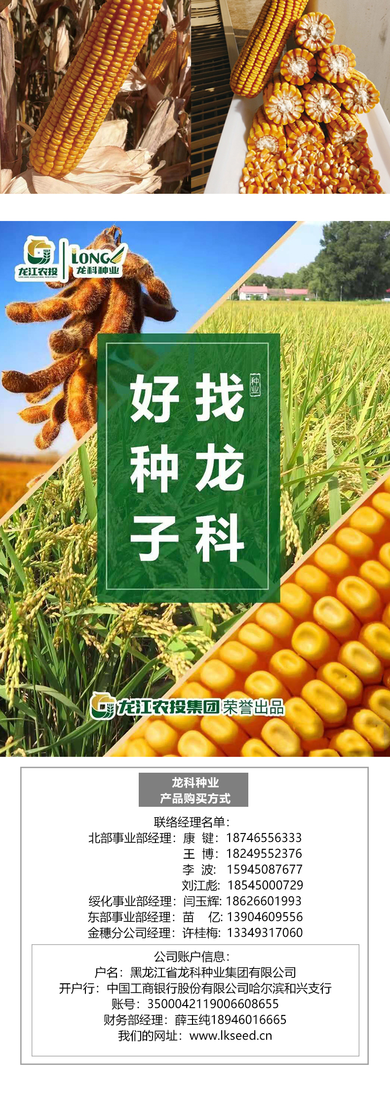 1590111986892445.jpg 龙科玉301产品详情_03.jpg