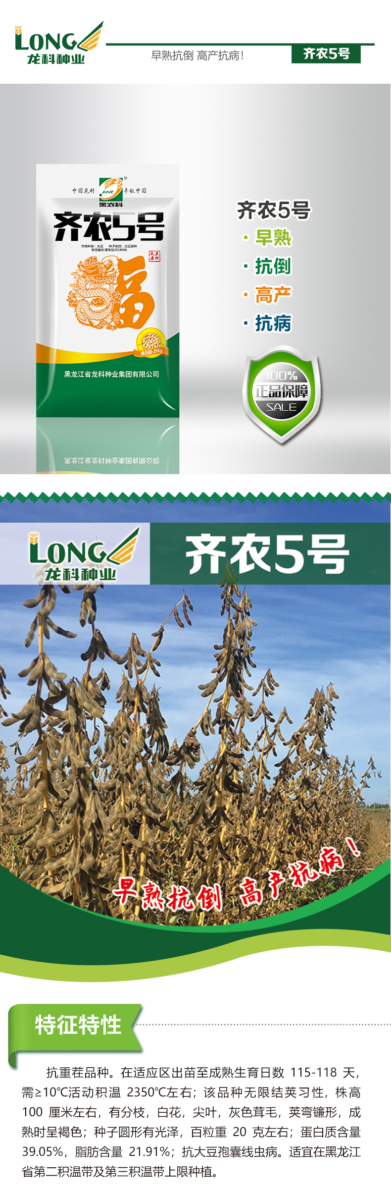 > 大豆种子