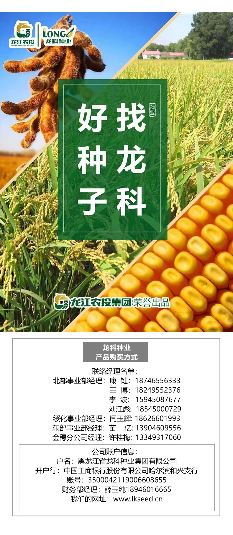 > 大豆种子