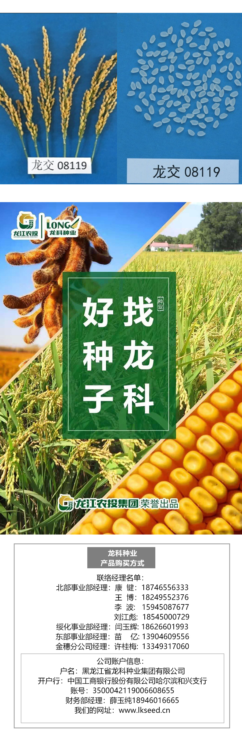 > 大豆种子