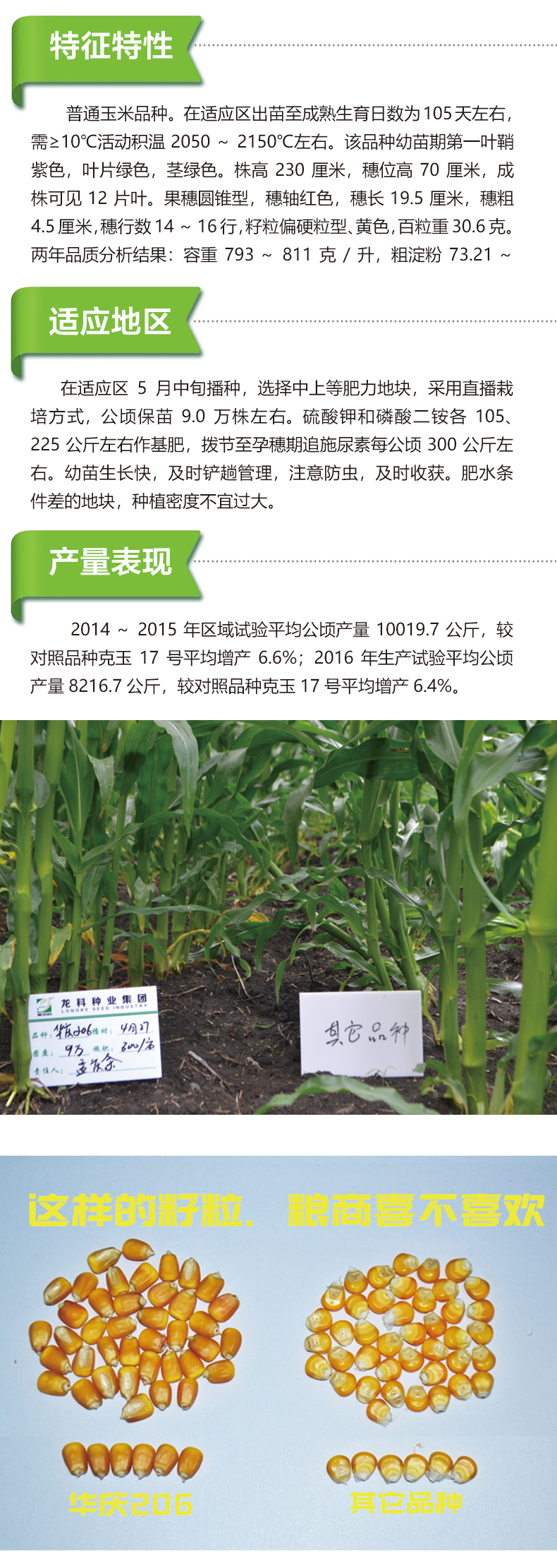 > 大豆种子
