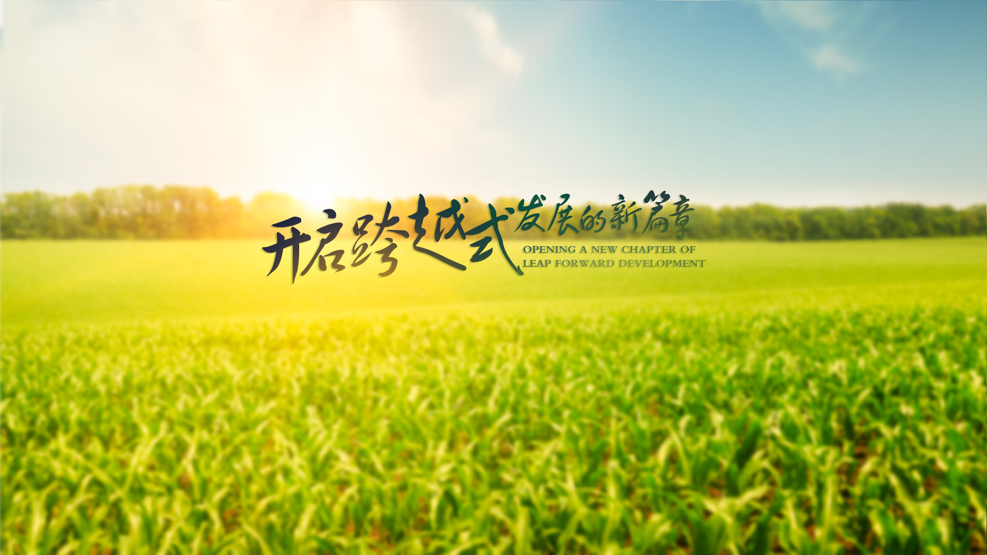 黑龙江省龙科种业集团有限公司|黑龙江大豆种子|玉米